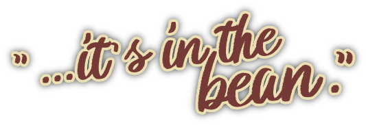 it's in the bean logo 3